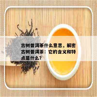 古树普洱茶什么意思，解密古树普洱茶：它的含义和特点是什么？