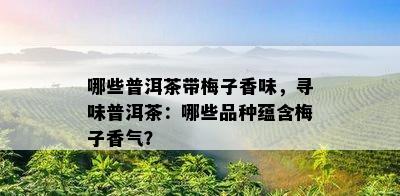 哪些普洱茶带梅子香味，寻味普洱茶：哪些品种蕴含梅子香气？