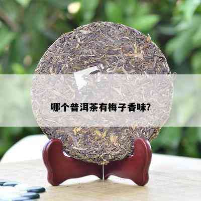 哪个普洱茶有梅子香味？