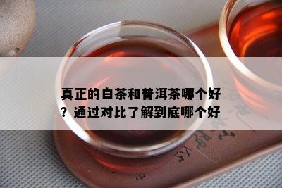 真正的白茶和普洱茶哪个好？通过对比了解到底哪个好