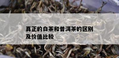 真正的白茶和普洱茶的区别及价值比较