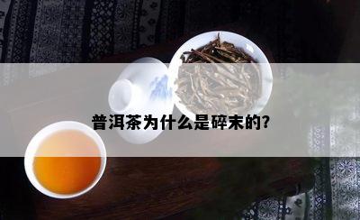 普洱茶为什么是碎末的？