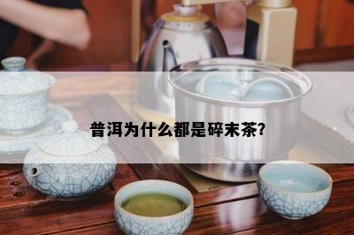 普洱为什么都是碎末茶？