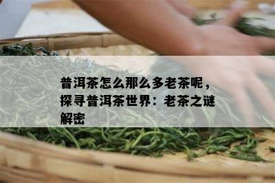 普洱茶怎么那么多老茶呢，探寻普洱茶世界：老茶之谜解密