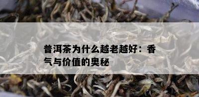 普洱茶为什么越老越好：香气与价值的奥秘