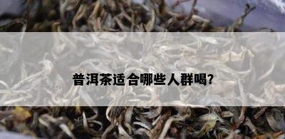 普洱茶适合哪些人群喝？