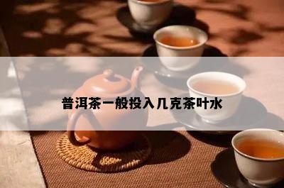 普洱茶一般投入几克茶叶水