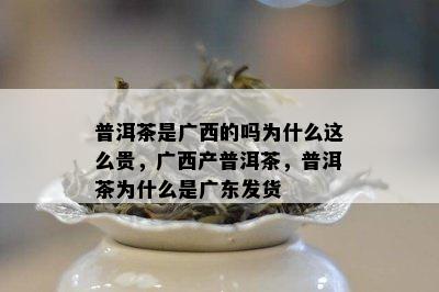 普洱茶是广西的吗为什么这么贵，广西产普洱茶，普洱茶为什么是广东发货