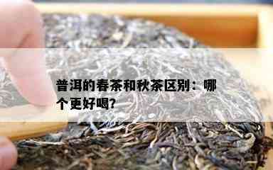 普洱的春茶和秋茶区别：哪个更好喝？