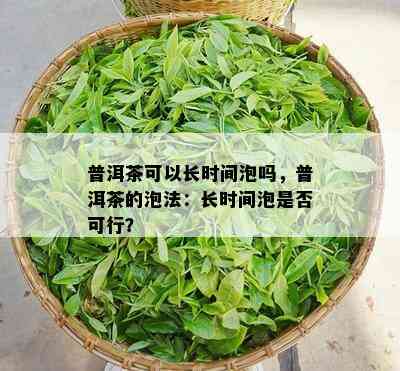 普洱茶可以长时间泡吗，普洱茶的泡法：长时间泡是否可行？