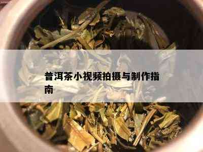 普洱茶小视频拍摄与制作指南