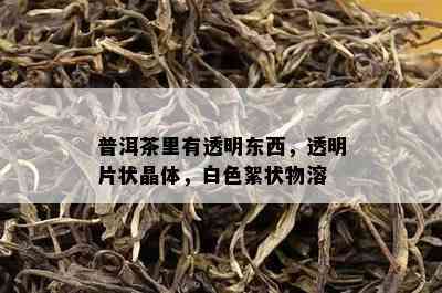 普洱茶里有透明东西，透明片状晶体，白色絮状物溶