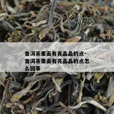 普洱茶里面有亮晶晶的点-普洱茶里面有亮晶晶的点怎么回事