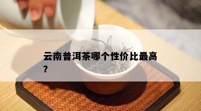 云南普洱茶哪个性价比更高？