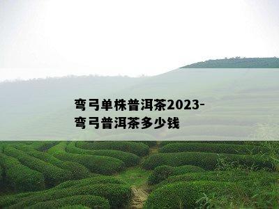 弯 *** 株普洱茶2023-弯弓普洱茶多少钱