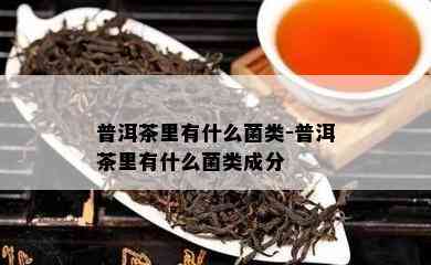 普洱茶里有什么菌类-普洱茶里有什么菌类成分