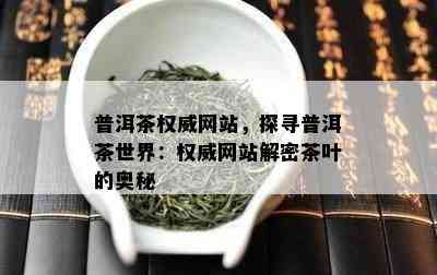 普洱茶权威网站，探寻普洱茶世界：权威网站解密茶叶的奥秘