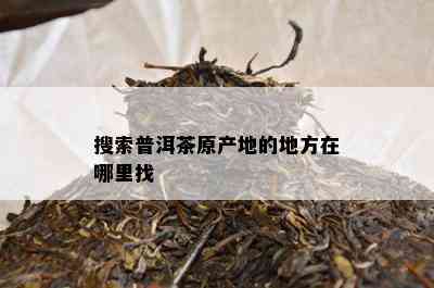 搜索普洱茶原产地的地方在哪里找