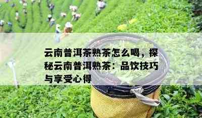 云南普洱茶熟茶怎么喝，探秘云南普洱熟茶：品饮技巧与享受心得