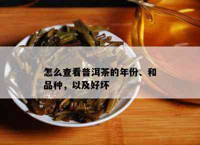 怎么查看普洱茶的年份、和品种，以及好坏