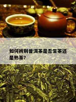 如何辨别普洱茶是否生茶还是熟茶？