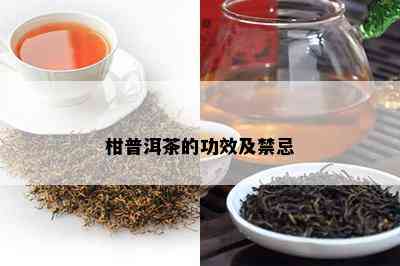 柑普洱茶的功效及禁忌