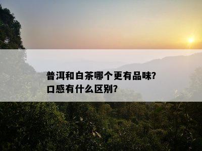 普洱和白茶哪个更有品味？口感有什么区别？