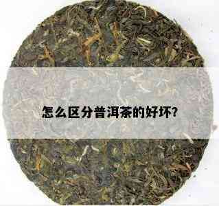 怎么区分普洱茶的好坏？