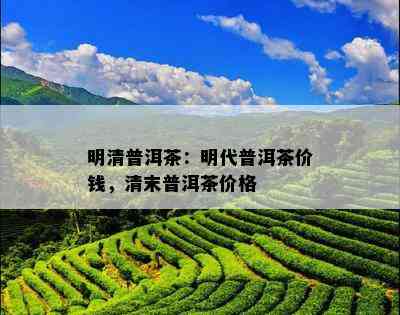 明清普洱茶：明代普洱茶价钱，清末普洱茶价格