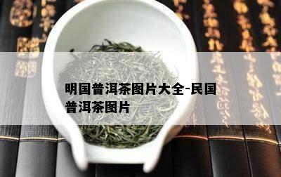 明国普洱茶图片大全-民国普洱茶图片