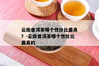 云南普洱茶哪个性价比更高？-云南普洱茶哪个性价比更高的