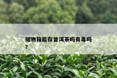 储物箱能存普洱茶吗有吗？