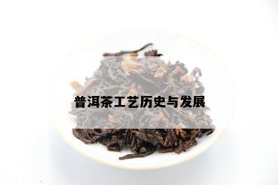 普洱茶工艺历史与发展