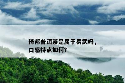 倚邦普洱茶是属于易武吗，口感特点如何？