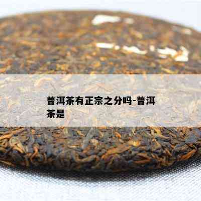 普洱茶有正宗之分吗-普洱茶是