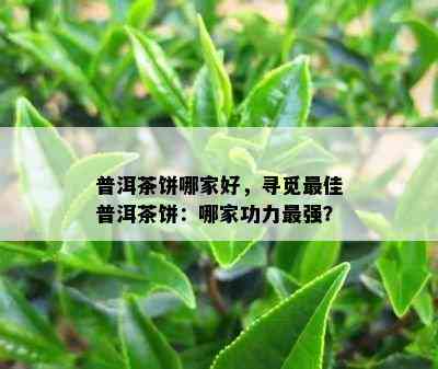 普洱茶饼哪家好，寻觅更佳普洱茶饼：哪家功力最强？