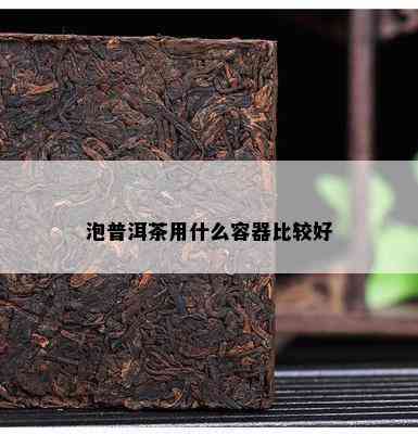 泡普洱茶用什么容器比较好