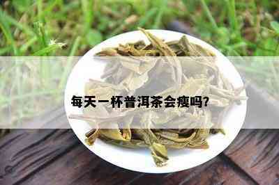 每天一杯普洱茶会瘦吗？