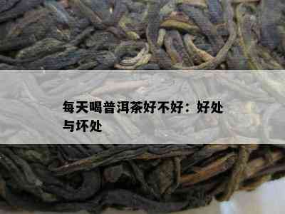 每天喝普洱茶好不好：好处与坏处