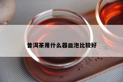 普洱茶用什么器皿泡比较好