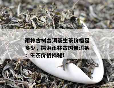 雨林古树普洱茶生茶价格是多少，探索雨林古树普洱茶：生茶价格揭秘！