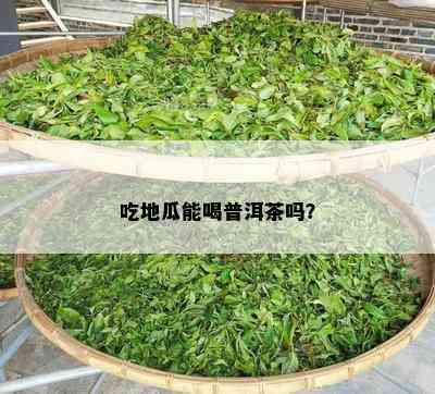 吃地瓜能喝普洱茶吗？