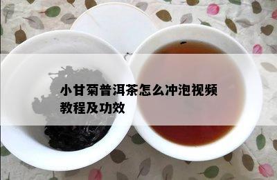 小甘菊普洱茶怎么冲泡视频教程及功效