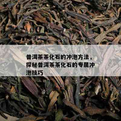 普洱茶茶化石的冲泡方法，探秘普洱茶茶化石的专属冲泡技巧