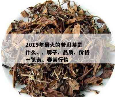 2019年最火的普洱茶是什么，、牌子、品质、价格一览表、春茶行情