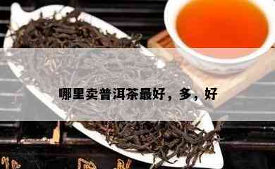 哪里卖普洱茶更好，多，好