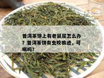 普洱茶饼上有老鼠尿怎么办？普洱茶饼有虫咬痕迹，可喝吗？