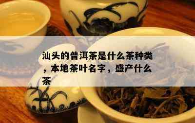 汕头的普洱茶是什么茶种类，本地茶叶名字，盛产什么茶