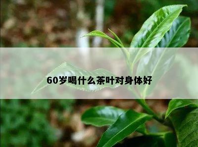 60岁喝什么茶叶对身体好