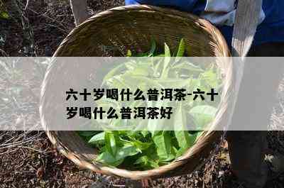 六十岁喝什么普洱茶-六十岁喝什么普洱茶好